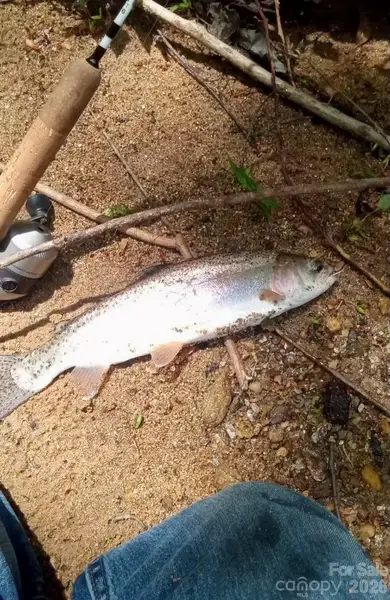 Trout fishing in the community