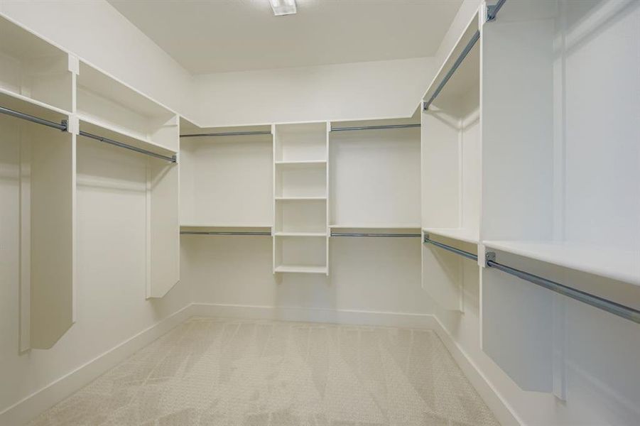 Spacious closet with light carpet Spacious closet with light carpet