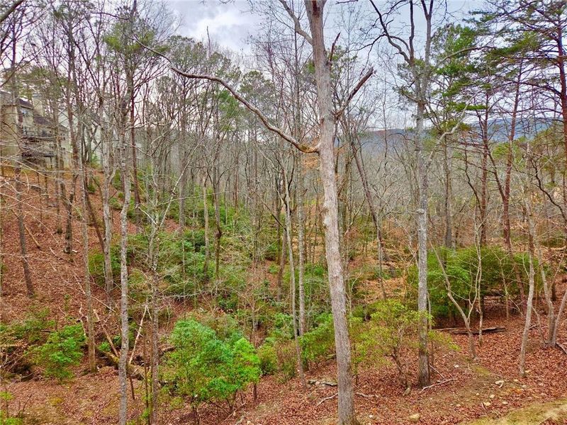 Natural landscape and outdoor views near  in Waleska (Image 26).