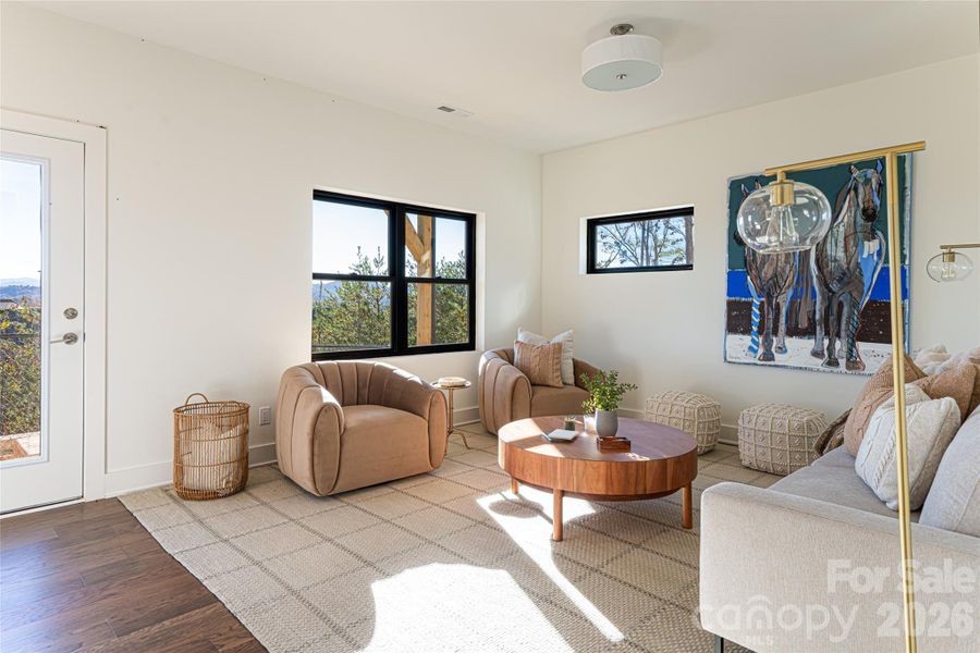 Lower family room