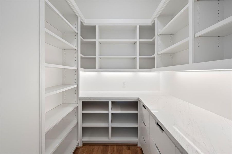 Huge walk in pantry with quartz counters for small appliances