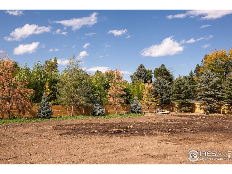 An abundance of mature trees line the lot!