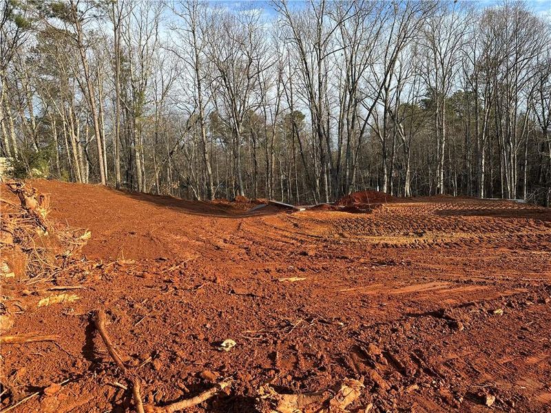 Site preparation for new homesites in , Braselton (Image 16).