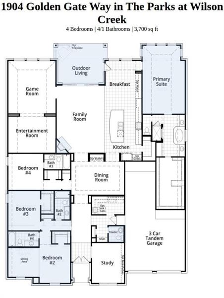 2D floor plan layout of this home in The Parks at Wilson Creek, Celina, TX (Image 2).