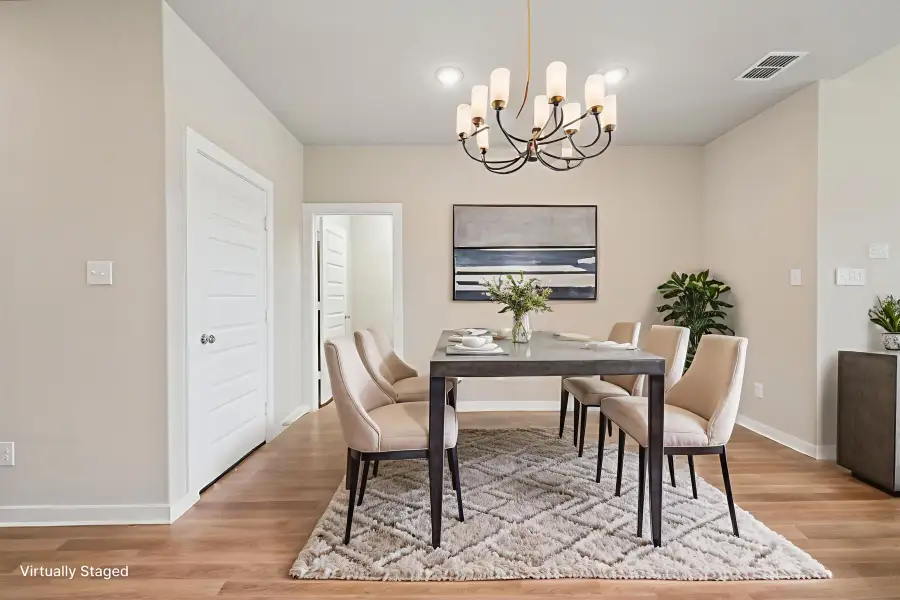 Virtual Representation