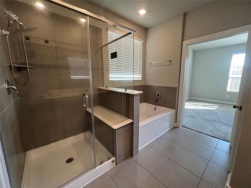 walk in shower and large garden tub