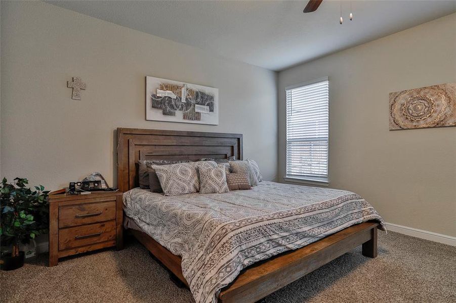 Carpeted bedroom with baseboards and a ceiling fan Carpeted bedroom with baseboards and a ceiling fan