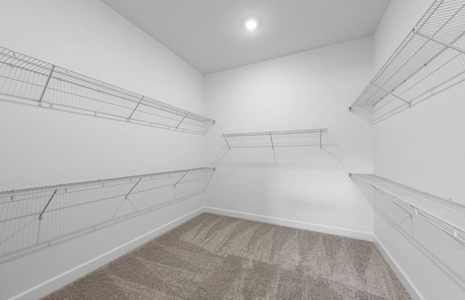 Spacious, unfurnished interior of a new home in TerraWalk at Babcock Ranch, Alva (Image 14).