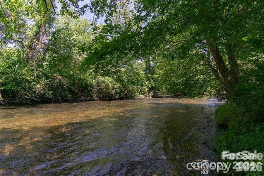 Natural landscape and outdoor views near  in Horse Shoe (Image 16).