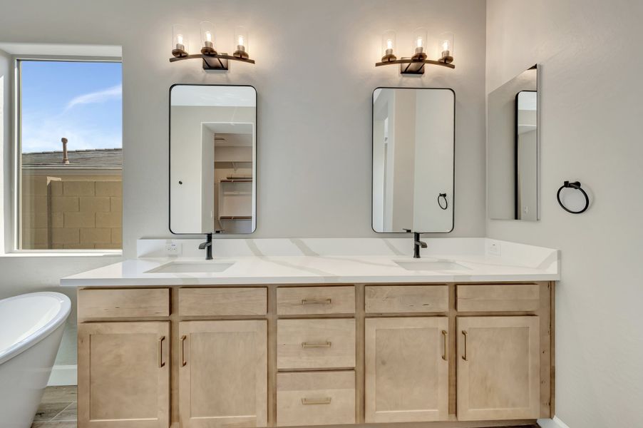 Owner's Bath