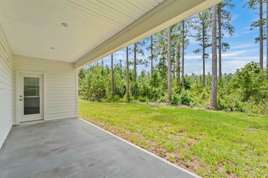 Dogwood Plan Lot 581 Covered Back Patio with Wood View at NorthShore in Kingsland