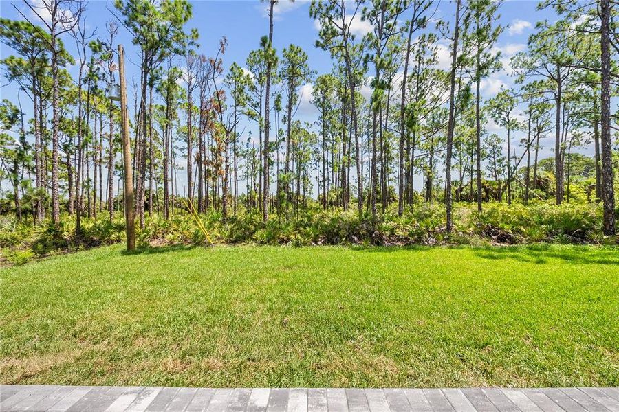 Natural landscape and outdoor views near in Port Charlotte (Image 77). Natural landscape and outdoor views near in Port Charlotte (Image 77).