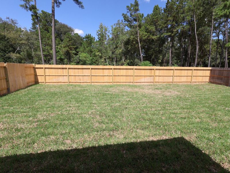 Exterior details and patio area of a home in Pinewood at Grand Texas, New Caney (Image 3).