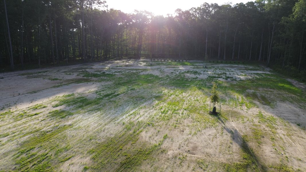 Natural landscape and outdoor views near in Ridgeville (Image 25). Natural landscape and outdoor views near in Ridgeville (Image 25).