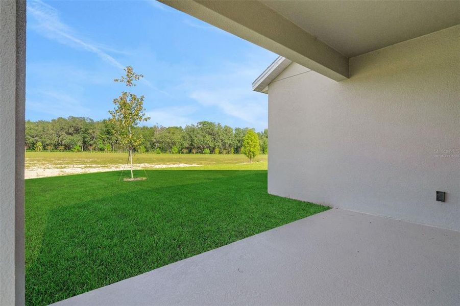 Exterior details and patio area of a home in Reserve at Hammock Oaks, Lady Lake (Image 3).