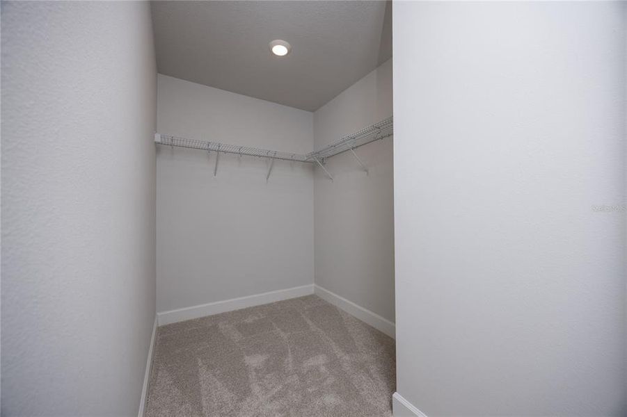 Spacious, unfurnished interior of a new home in Savannah Station, Alachua (Image 22).