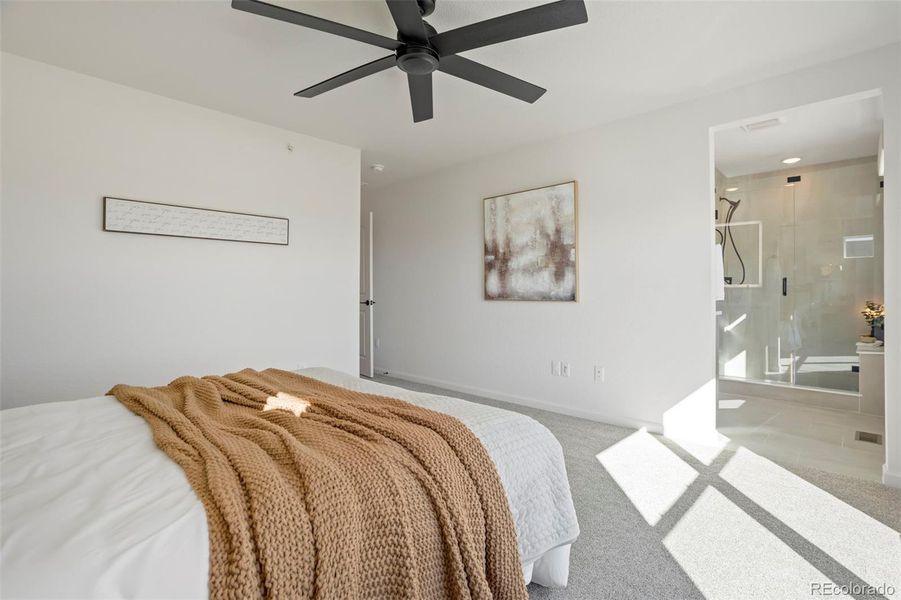 Furnished interior view inside a new home in , Colorado Springs (Image 18). Furnished interior view inside a new home in , Colorado Springs (Image 18).