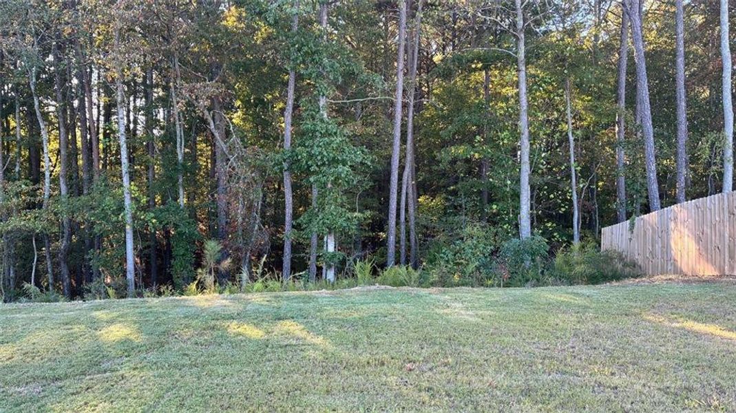 Natural landscape and outdoor views near in Adairsville (Image 38). Natural landscape and outdoor views near in Adairsville (Image 38).