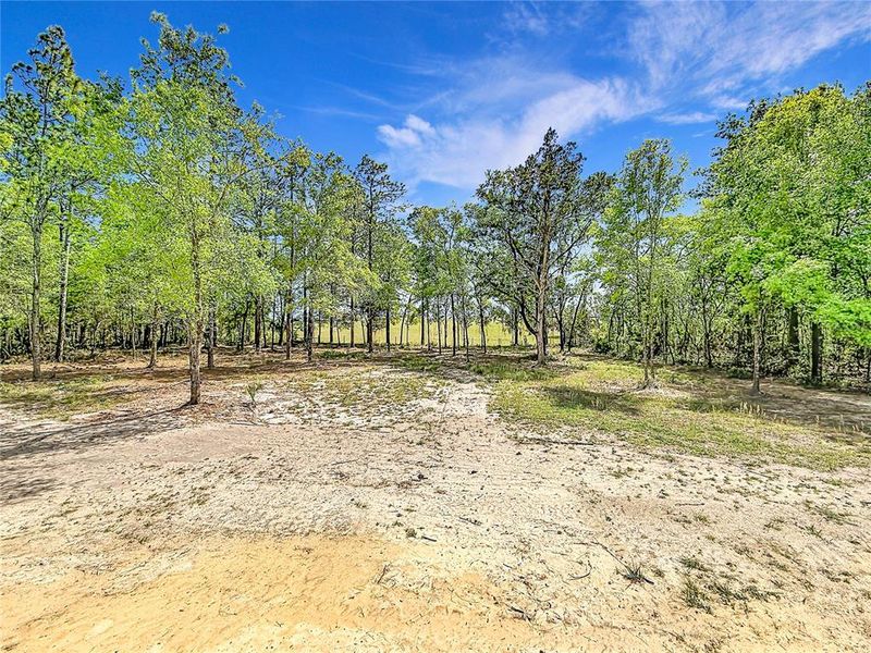 Natural landscape and outdoor views near  in Dunnellon (Image 34).