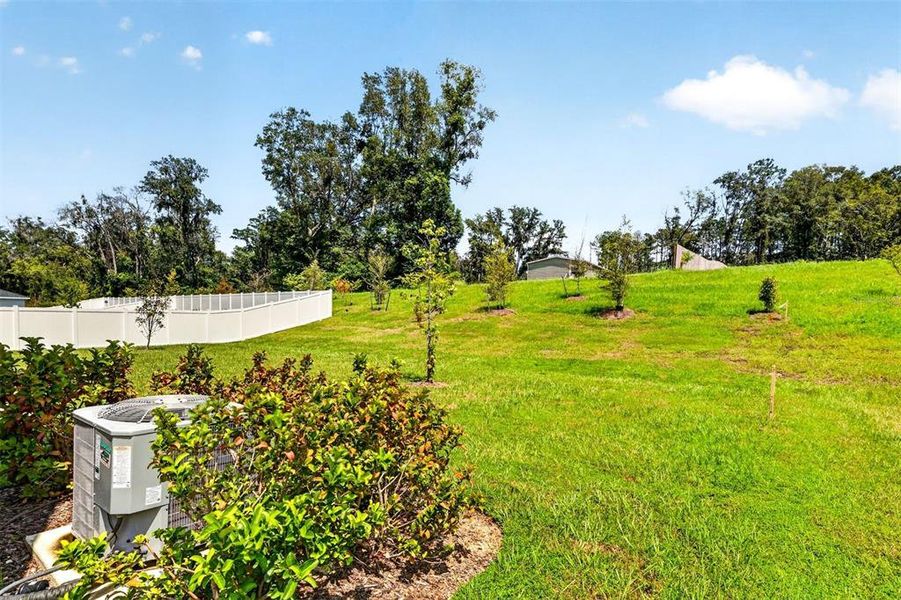 Natural landscape and outdoor views near Tara Forest East in Alachua (Image 44).