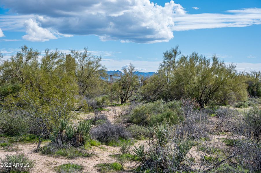 Lot 120 at 8627 E Whisper Rock Trl-7894