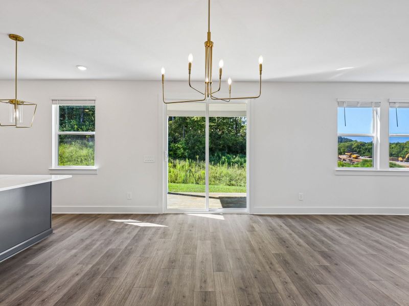 Spacious, unfurnished interior of a new home in Station Hill - Estate Series, Franklin (Image 12).