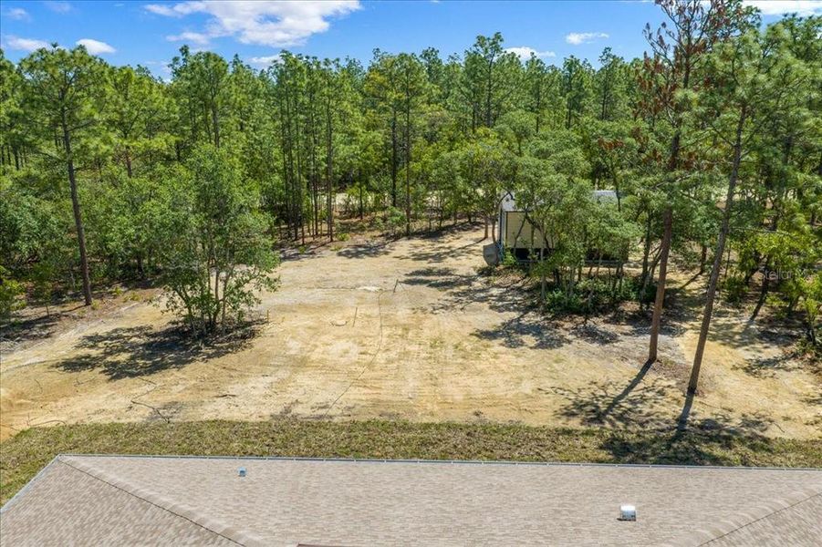 Natural landscape and outdoor views near  in Ocala (Image 74).