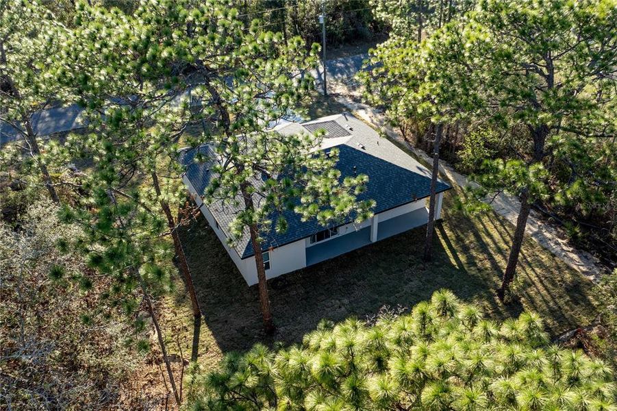 Natural landscape and outdoor views near  in Citrus Springs (Image 39).