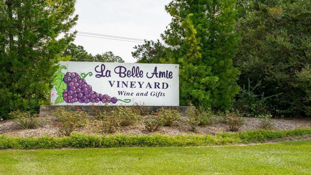 Front exterior of a new home in The Forest at Black Bear, Loris, SC, highlighting curb appeal (Image 13). Front exterior of a new home in The Forest at Black Bear, Loris, SC, highlighting curb appeal (Image 13).