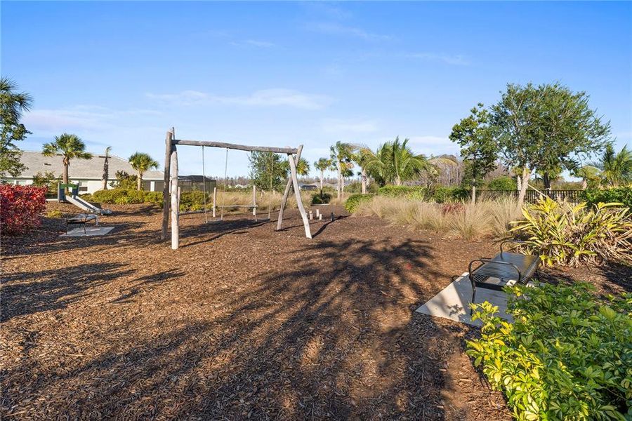 Community amenities in Esplanade at Wiregrass Ranch, Wesley Chapel (Image 62).