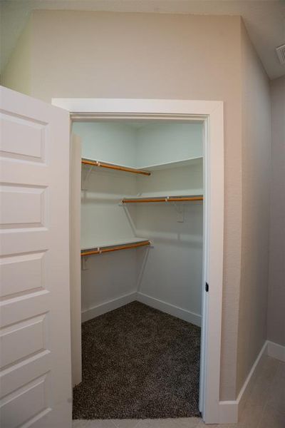 Walk in closet with carpet flooring