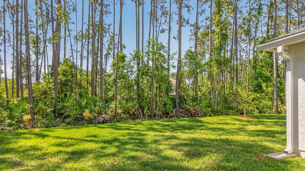 Exterior details and patio area of a home in Palm Coast Homesites, Palm Coast (Image 21). Exterior details and patio area of a home in Palm Coast Homesites, Palm Coast (Image 21).