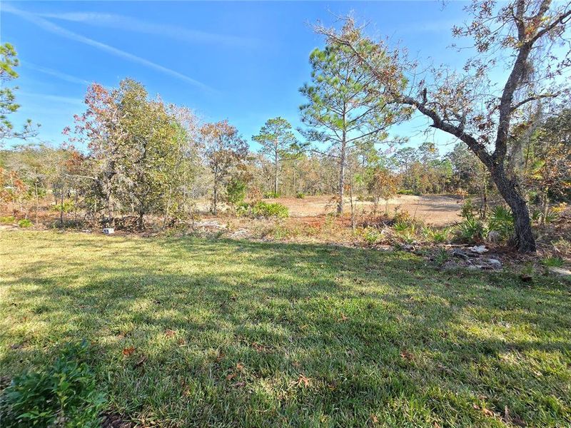 Natural landscape and outdoor views near  in Homosassa (Image 64).