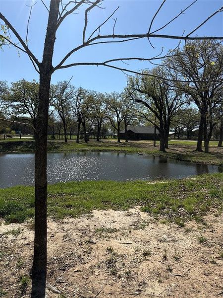 Natural landscape and outdoor views near in Edgewood (Image 30). Natural landscape and outdoor views near in Edgewood (Image 30).