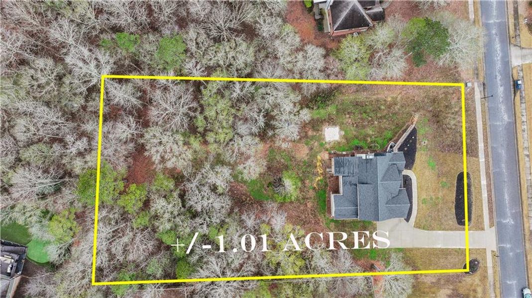 Site preparation for new homesites in , Watkinsville (Image 29).