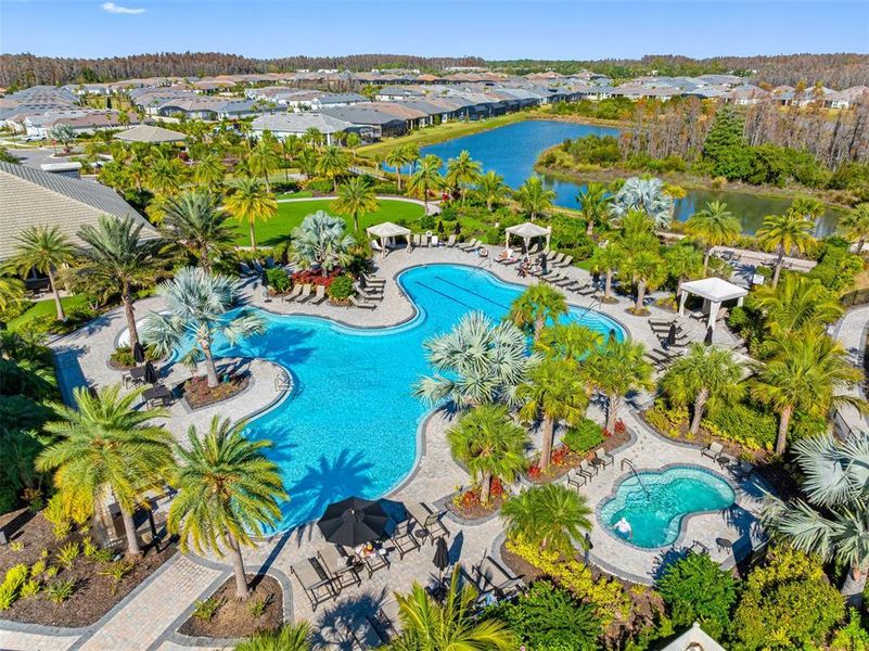 Community amenities in Esplanade at Wiregrass Ranch, Wesley Chapel (Image 32).