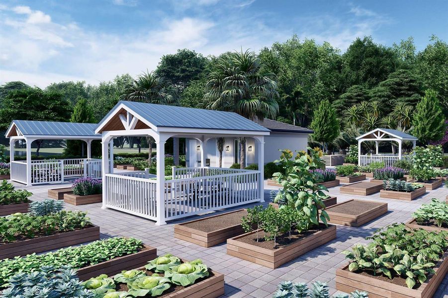 Community Garden