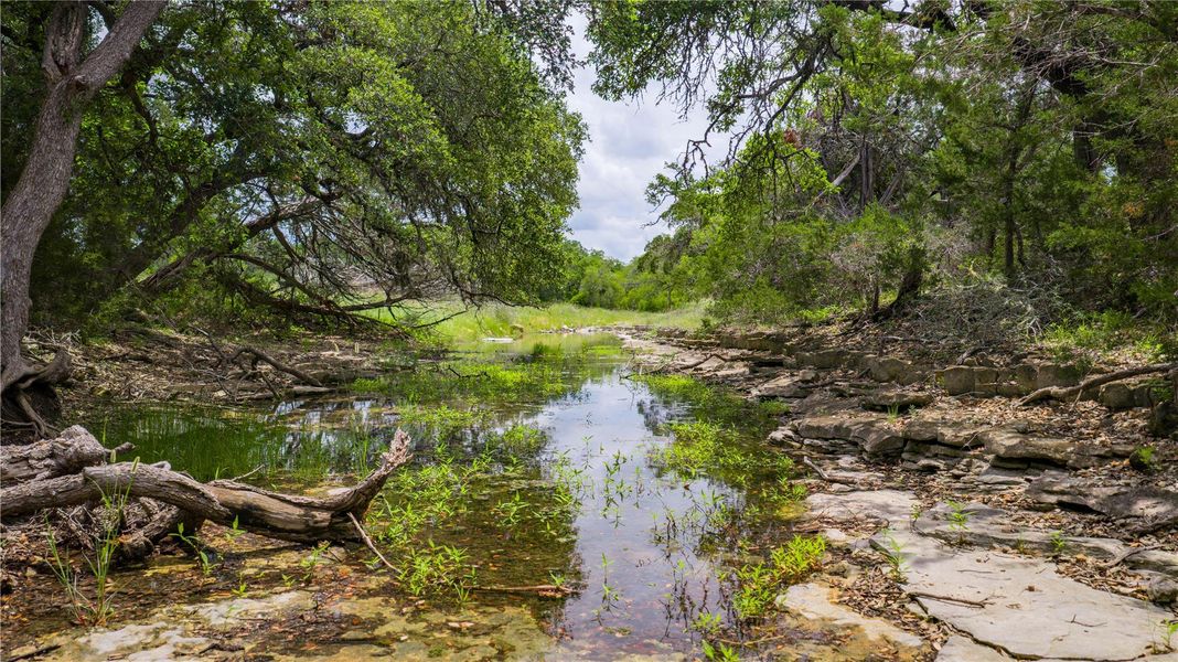 Natural landscape and outdoor views near  in San Marcos (Image 29).