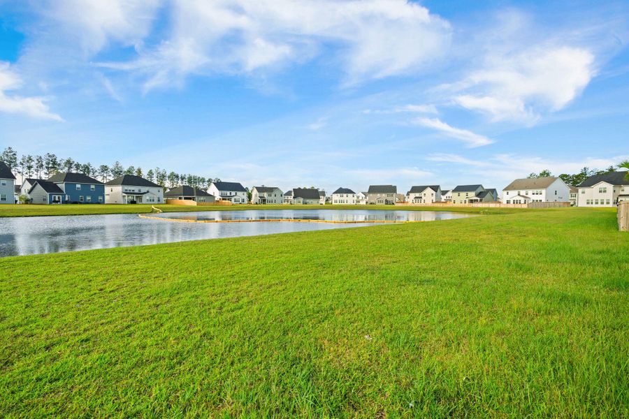 Natural landscape and outdoor views near Lochton in Summerville (Image 45). Natural landscape and outdoor views near Lochton in Summerville (Image 45).