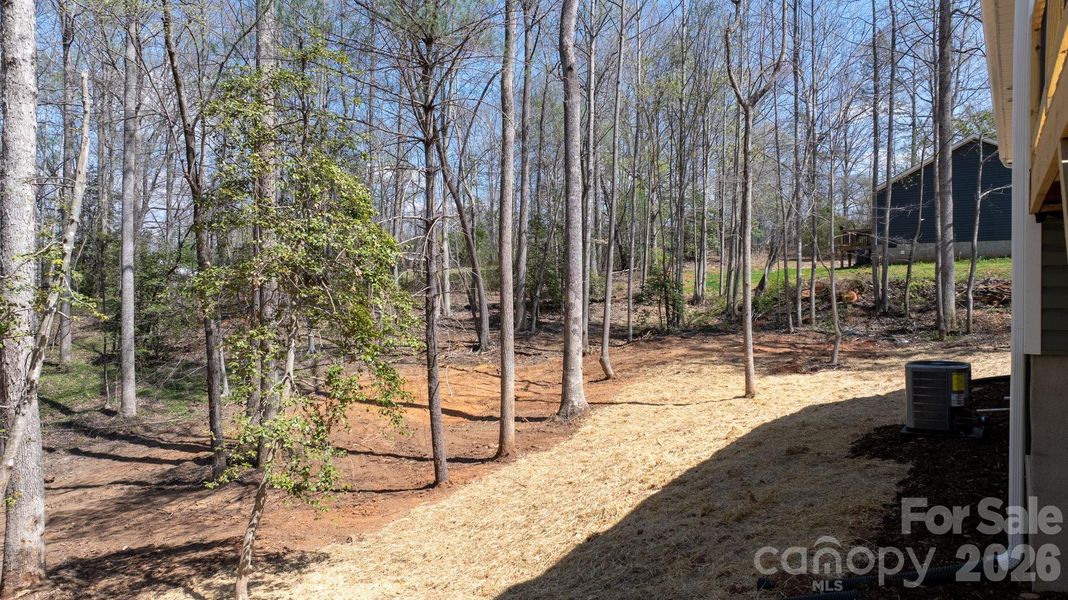 Natural landscape and outdoor views near  in Valdese (Image 19).