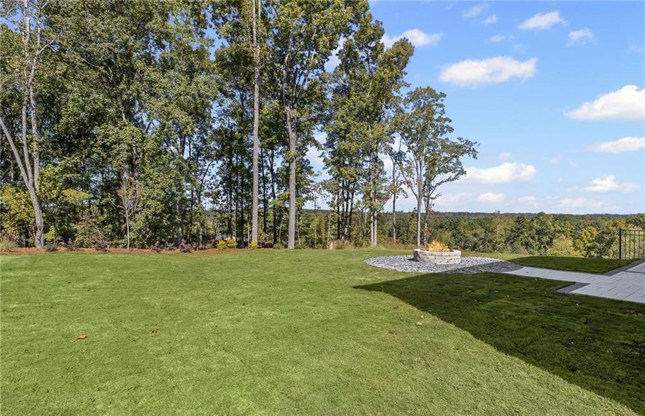 Natural landscape and outdoor views near Watermist at Mirror Lake in Villa Rica (Image 38).