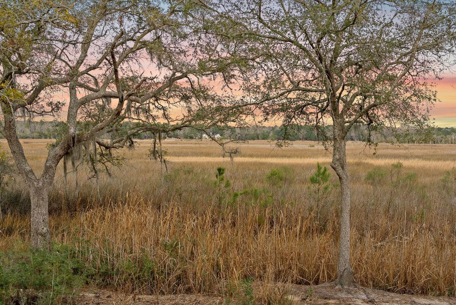 Natural landscape and outdoor views near  in Ravenel (Image 37).