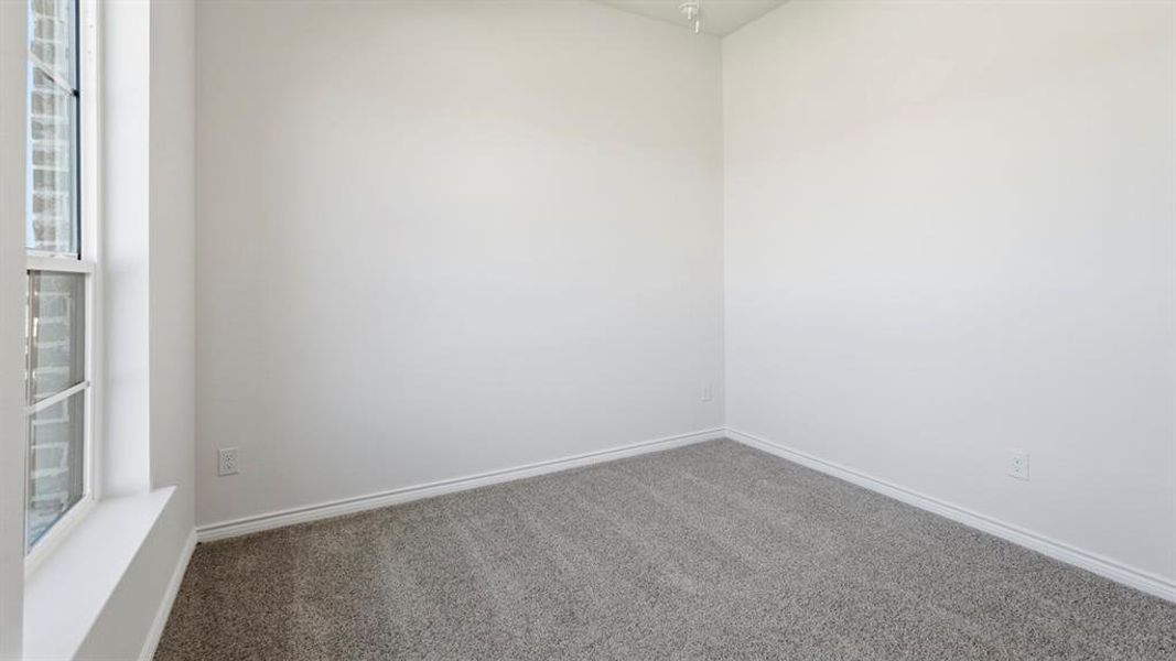Carpeted empty room with baseboards Carpeted empty room with baseboards