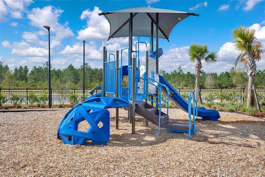 Community amenities in , Palm Coast (Image 54).