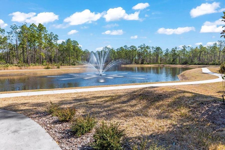 Natural landscape and outdoor views near Woodhaven in Port Orange (Image 59). Natural landscape and outdoor views near Woodhaven in Port Orange (Image 59).