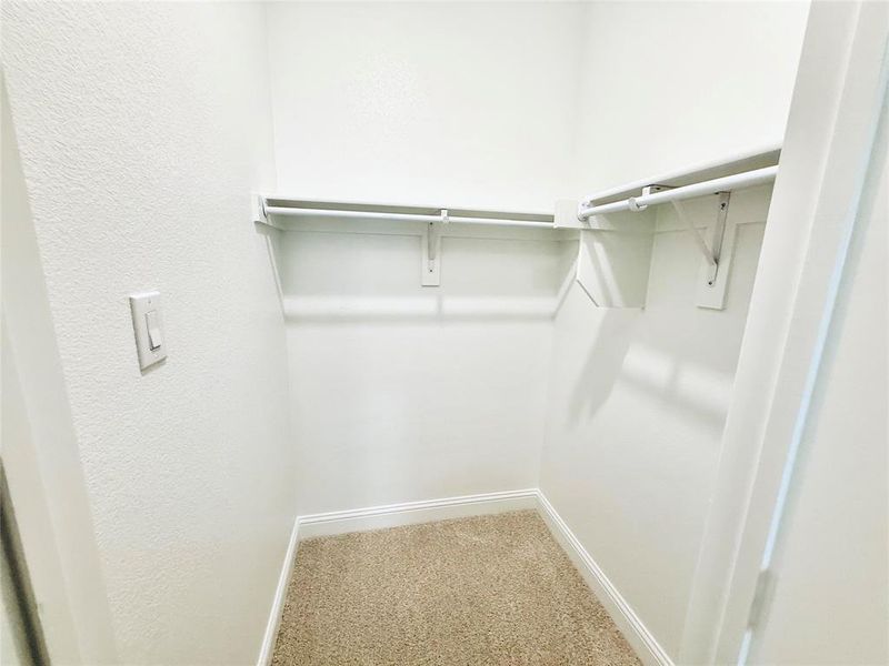 Walk-in closet featuring white painted walls, carpeted flooring, and built-in shelving with hanging rods