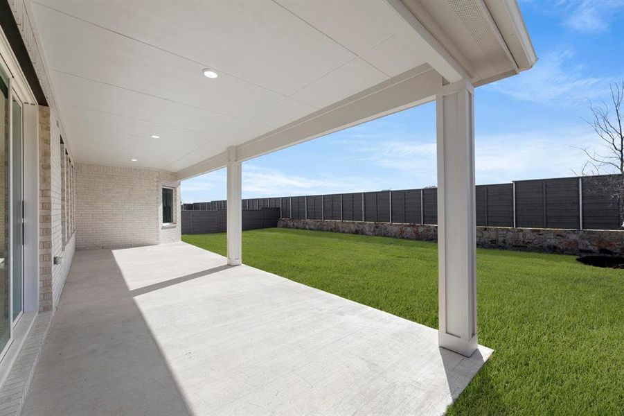 25. 500 Blue Yucca - Patio