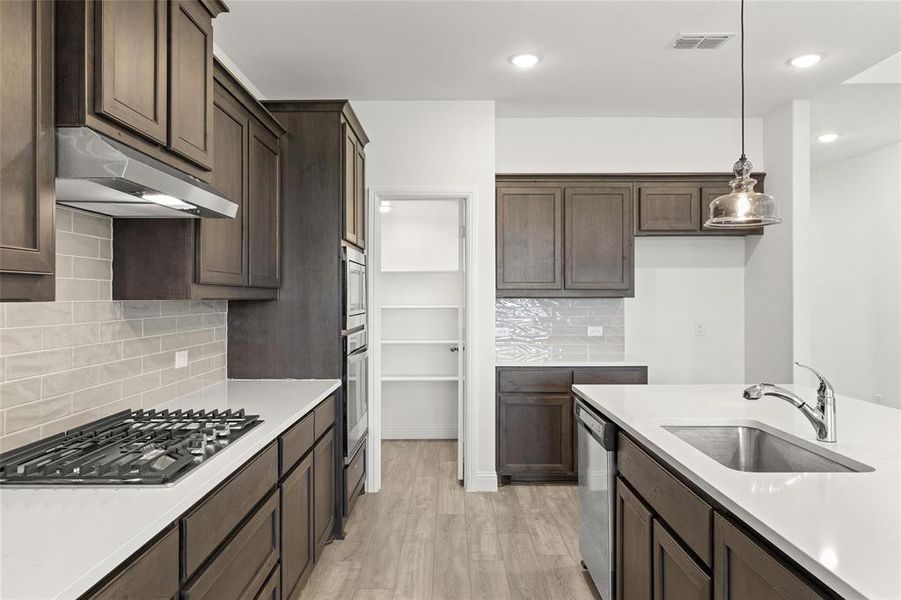 04_Grapevine_Representative Photo 04_Grapevine_Representative Photo