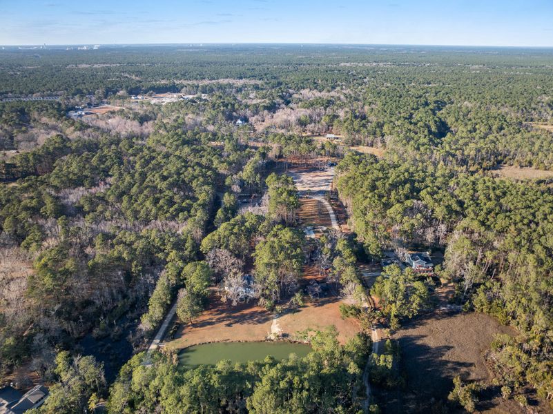 Natural landscape and outdoor views near  in Charleston (Image 21).