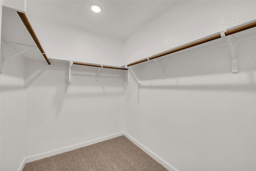 Spacious closet with carpet